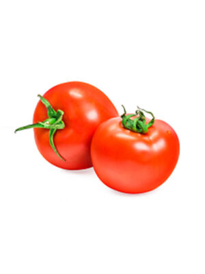 Tomato