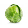 Cabbage