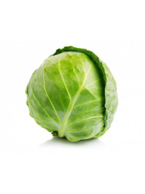 Cabbage