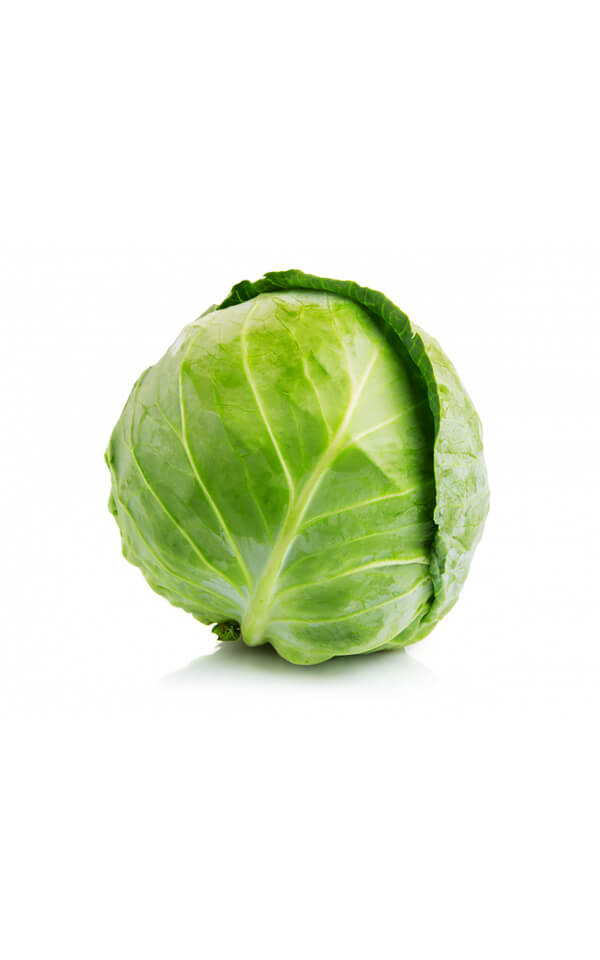 Cabbage