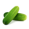 Cucumber