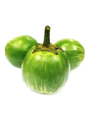 Green Brinjal - Eggplant