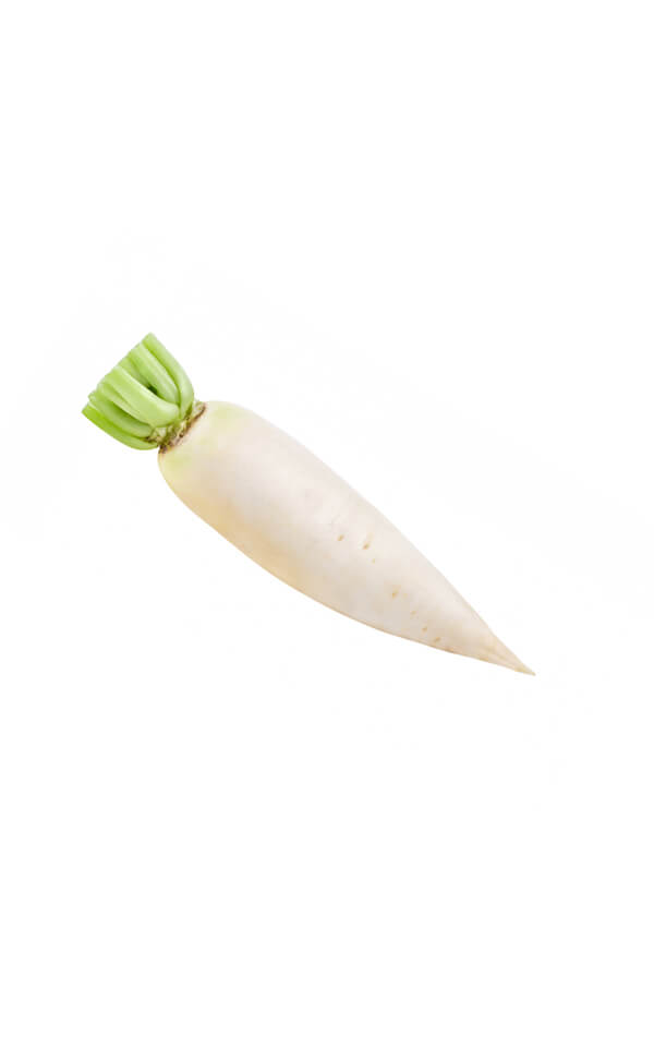 Radish