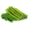 moringa